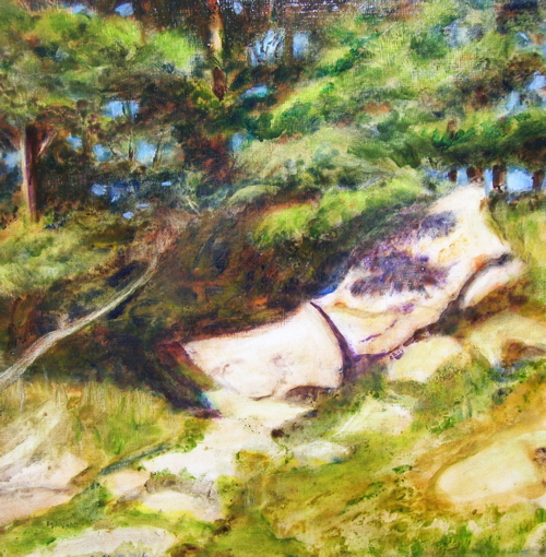 rocky-slope.JPG