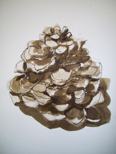 pinecone.JPG