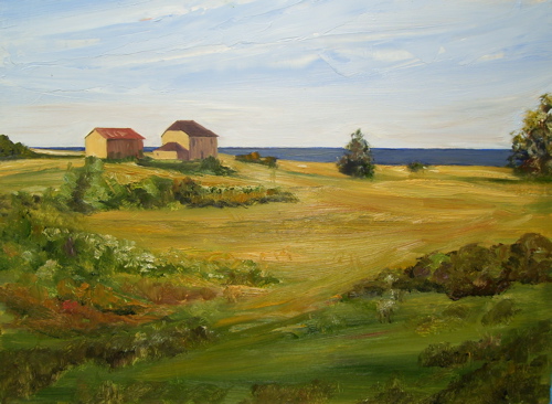 cape-breton-landscape.JPG